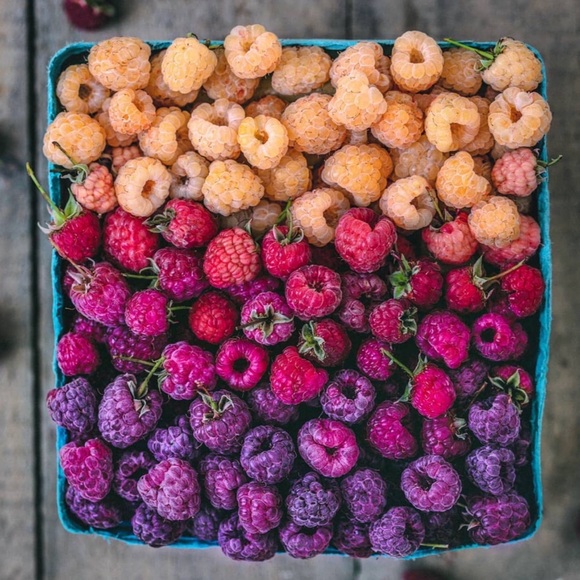 Meet your Posher, Kayla - Picture 1 of 1